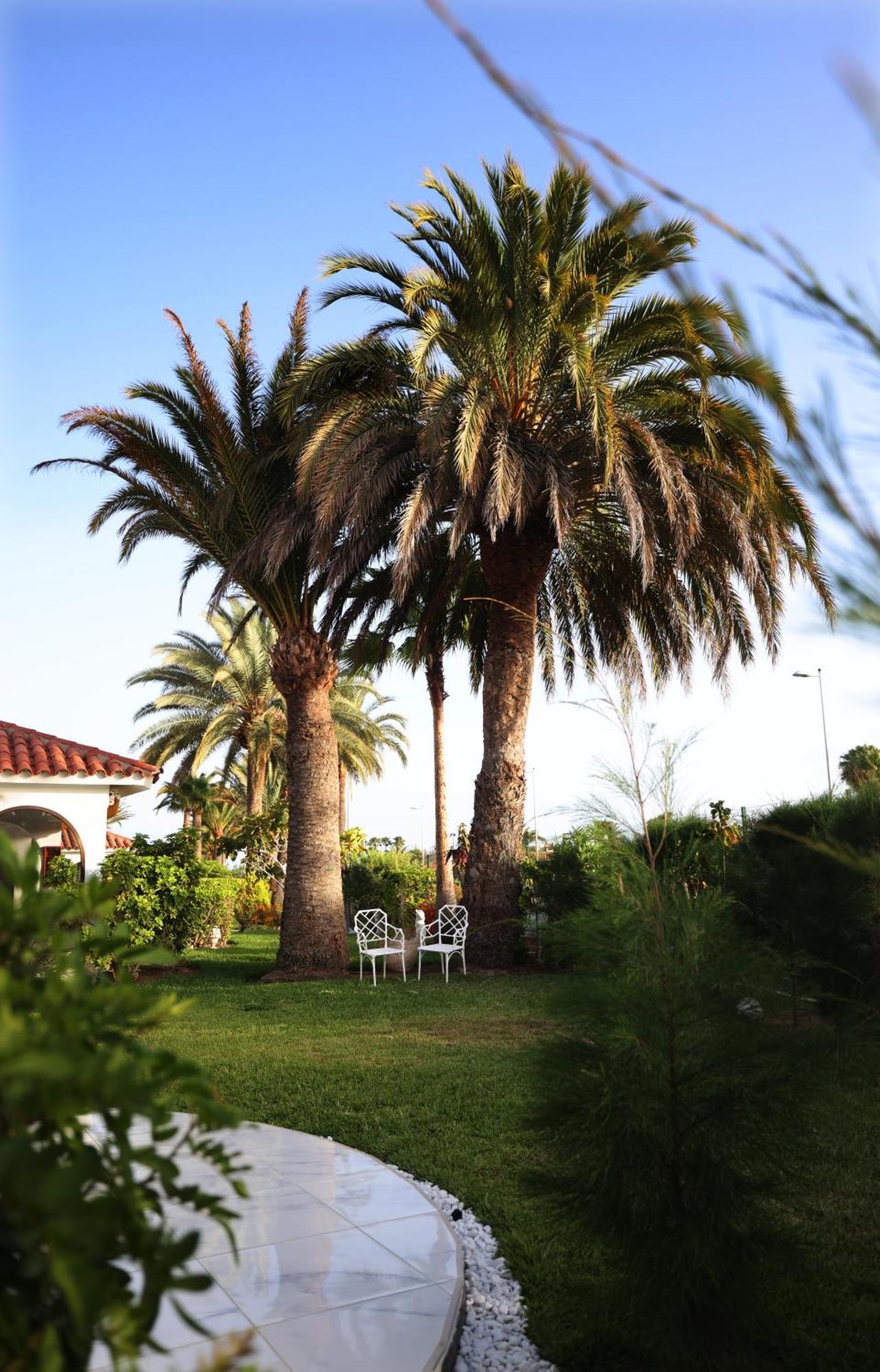 Hotel Sun Club Playa Del Ingles Exterior foto